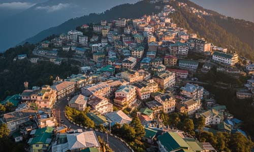 Image of a forest jeep safari